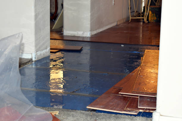 Professional Water Extraction technician working in Lindsey, OH